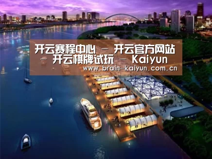 案例展示八