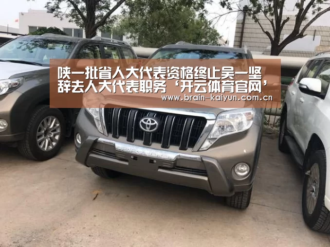 陕一批省人大代表资格终止吴一坚辞去人大代表职务‘开云体育官网’(图1) 开云体育网站
