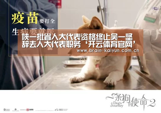 陕一批省人大代表资格终止吴一坚辞去人大代表职务‘开云体育官网’(图3) 开云体育官网