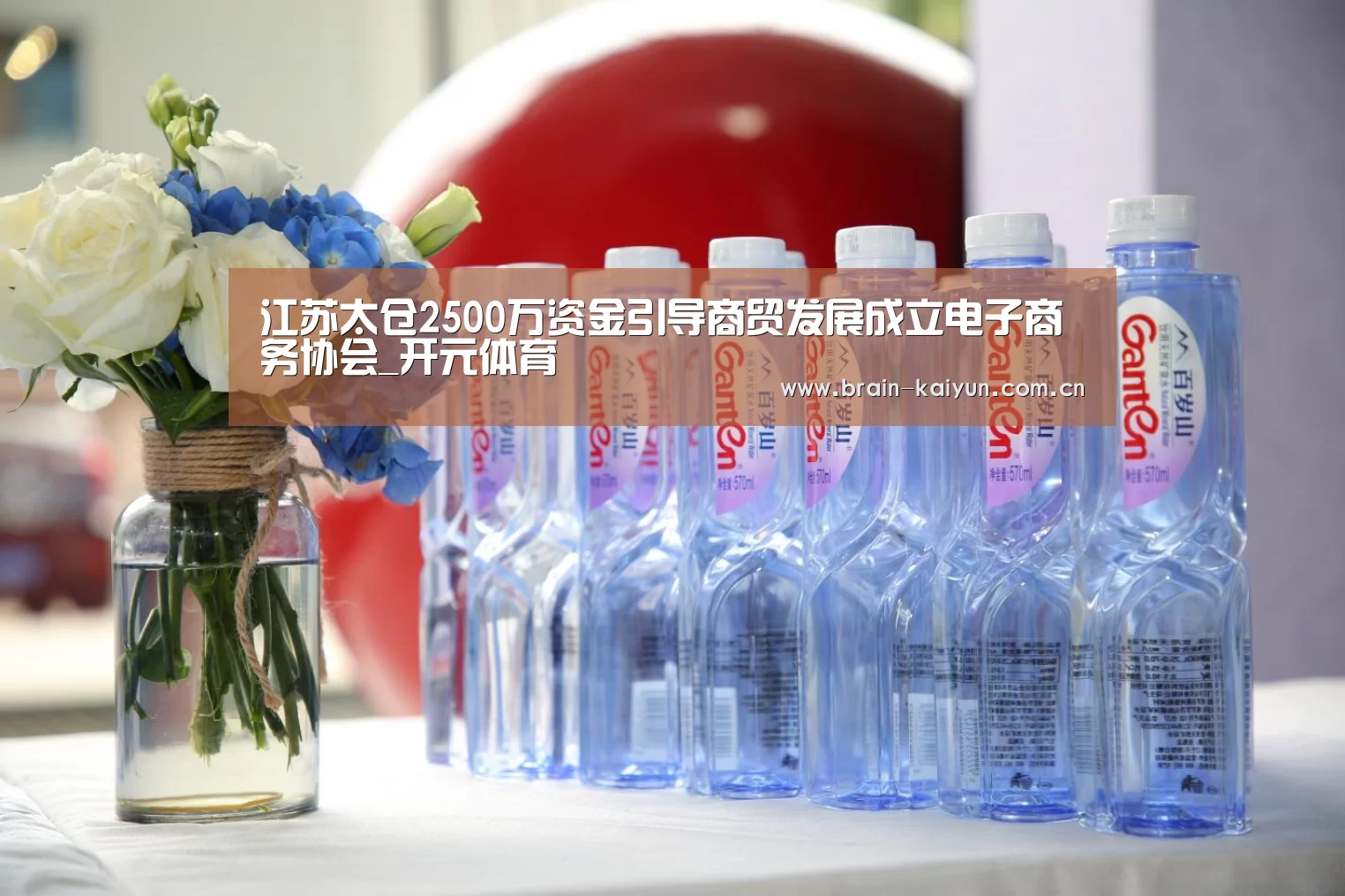 江苏太仓2500万资金引导商贸发展成立电子商务协会_开元体育(图1) 开云体育网站