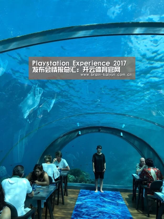 Playstation Experience 2017发布会情报总汇:开云体育官网(图1) 开云体育网站
