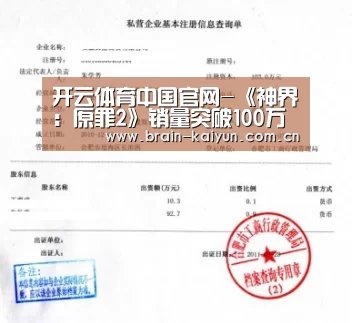开云体育中国官网-《神界:原罪2》销量突破100万 开发商感谢玩家(图4) 开元体育