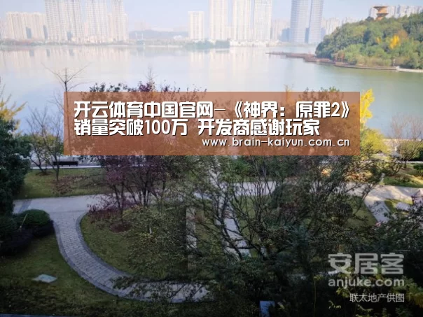 开云体育中国官网-《神界:原罪2》销量突破100万 开发商感谢玩家(图3) 开元体育