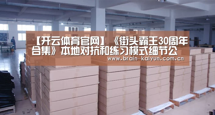 【开云体育官网】《街头霸王30周年合集》本地对抗和练习模式细节公布(图4) 开元体育