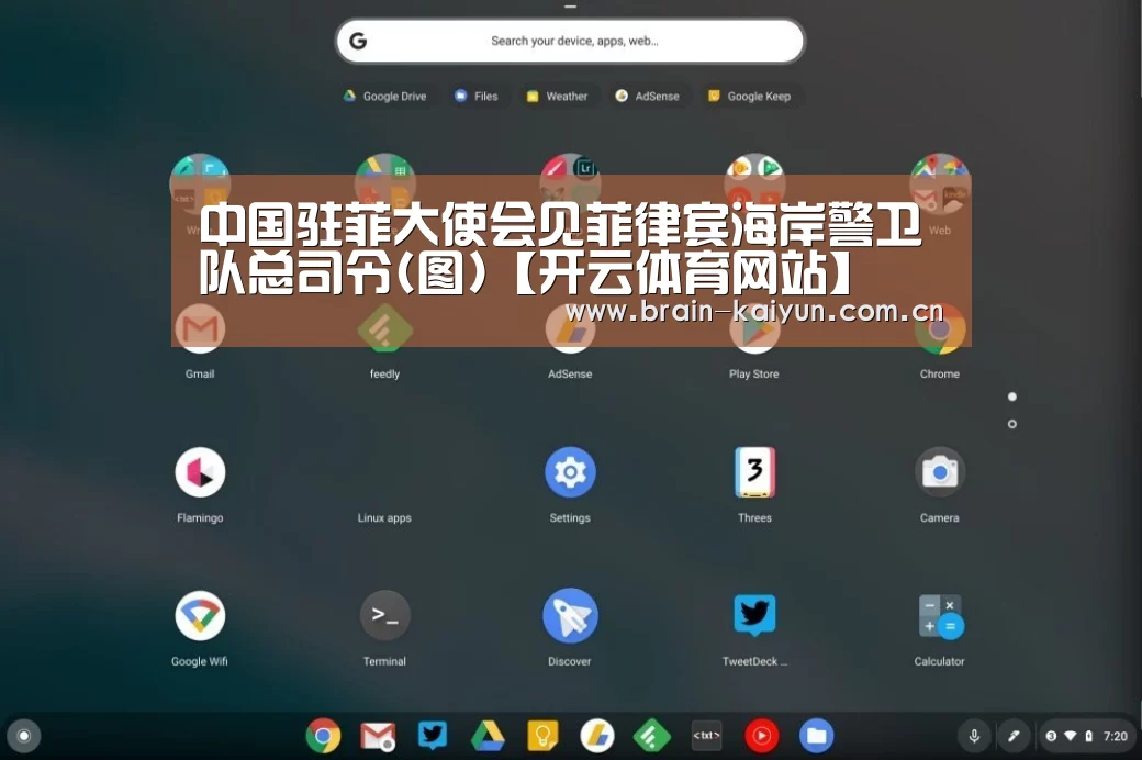 开云体育中国官网