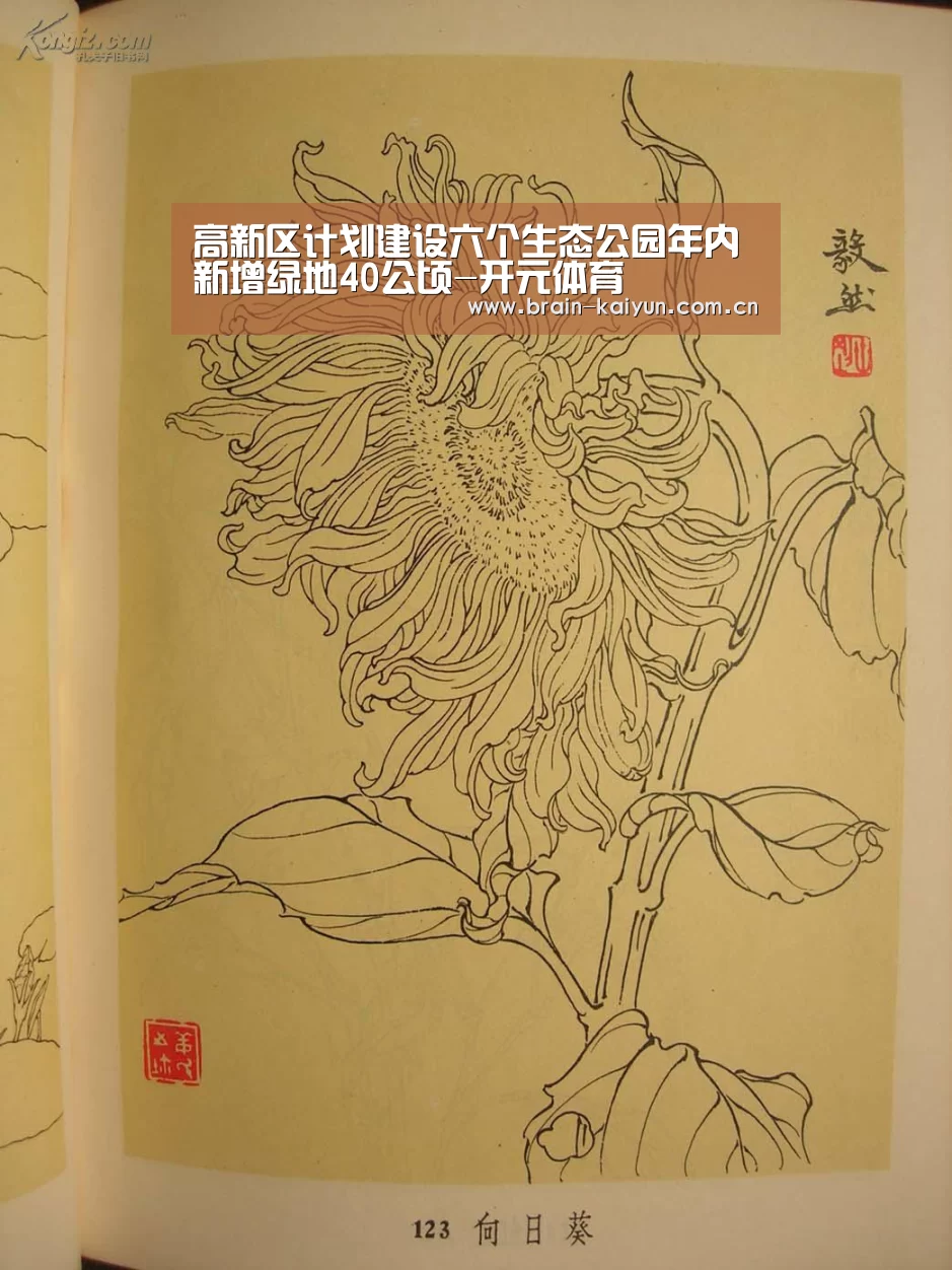 开云体育网站